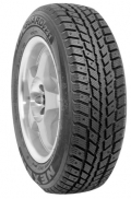 Roadstone Winguard 231